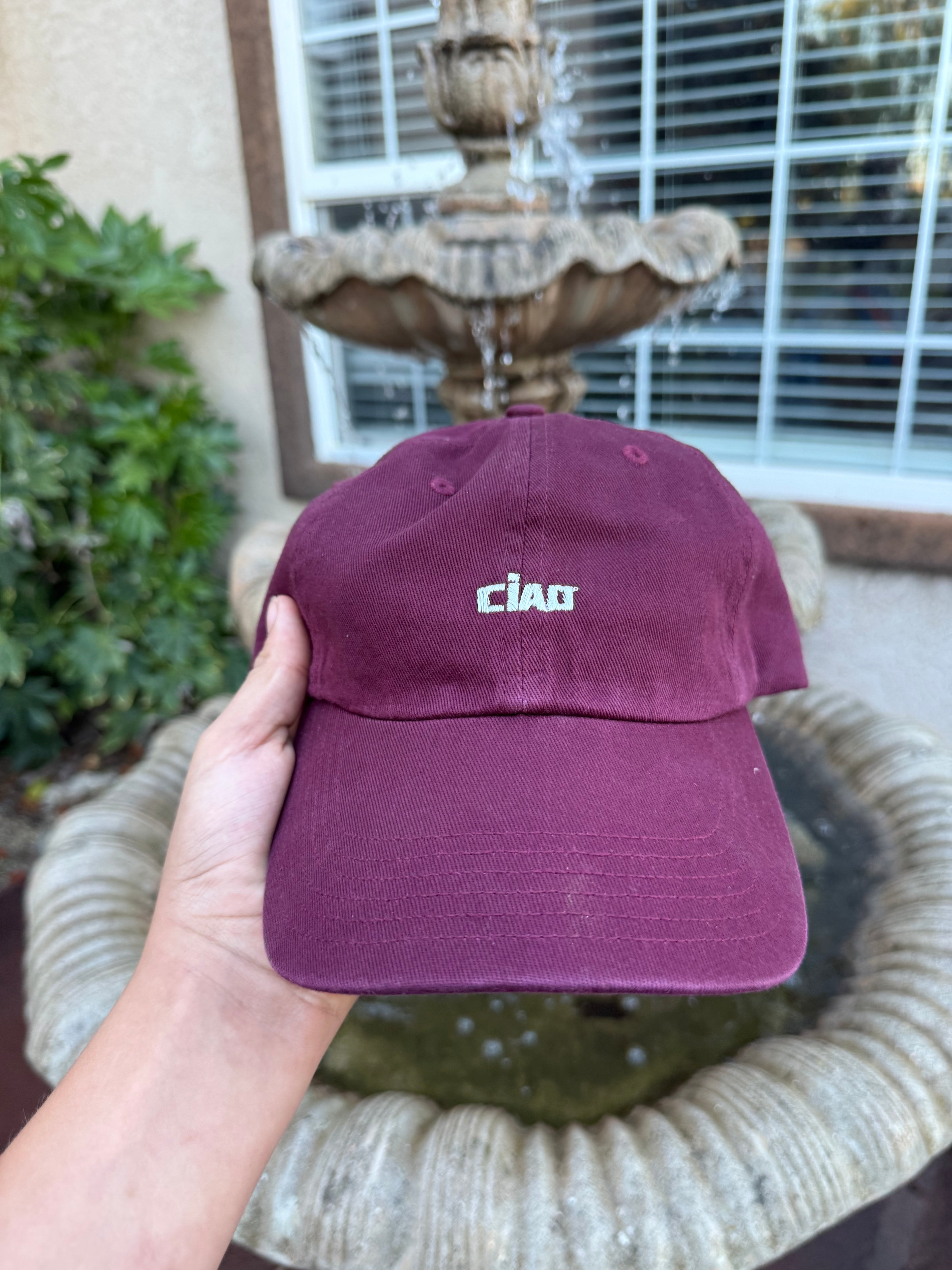 Custom Embroidered Dad Hat/Unstructured