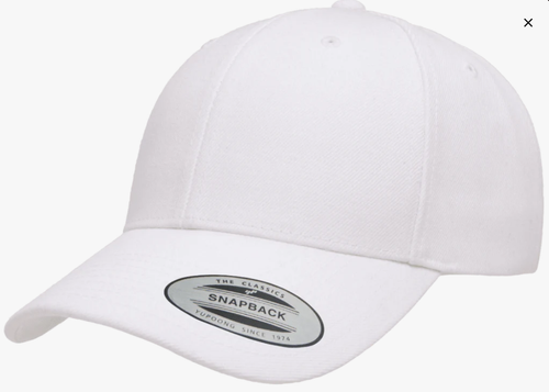 Custom Embroidered BaseBall Hat
